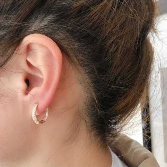 Classic Double Layer Hoop Earrings - Picture 3 of 4